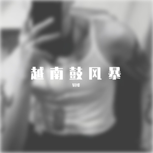 越南鼓风暴