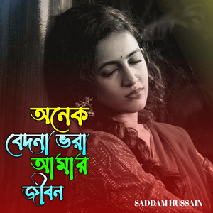 অনেক বেদনা ভরা