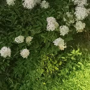 相遇仲夏（Prod by.BECU BEATZ）