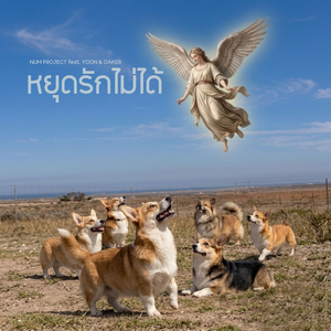 หยุดรักไม่ได้