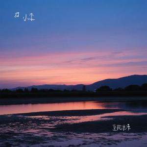至死浪漫