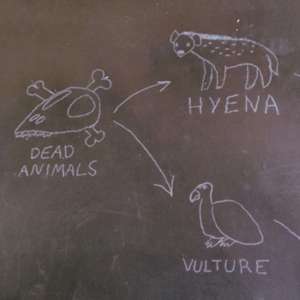 当我们焦虑的时候，我们在焦虑什么？（aaaaaaaanxiety)