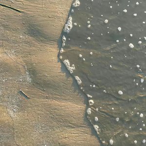 我一直爱着你纵使行动上不爱但心里也爱