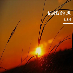 记忆的风