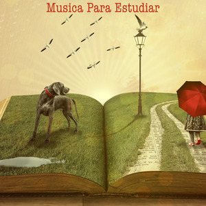 The Sky Is the Limit