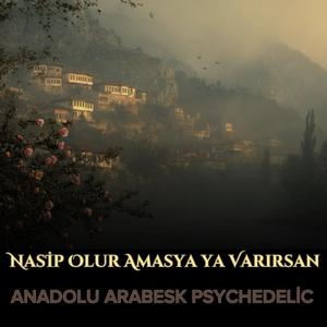 Nasip Olur Amasya'ya Varırsan
