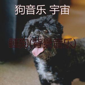 睡觉的小狗(可爱的)