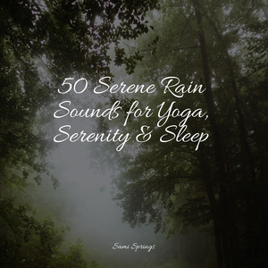 Camping Kettle on the Fire