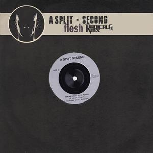 Flesh (Radical G RMX)