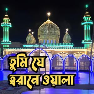 Tumi Je Toraney Owala || তুমি যে ত্বরানে ওয়ালা || মুর্শিদী গান || দরবারী গান || বাউল গান || সুরেশ্বরী গান