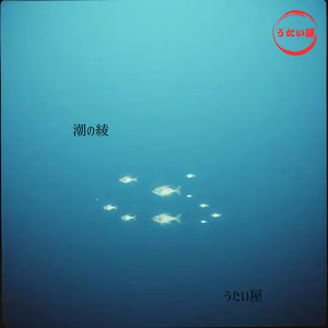 潮の綾