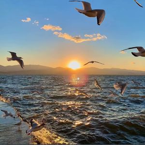 夕阳的余晖伴着斜阳(致昌乐一中）