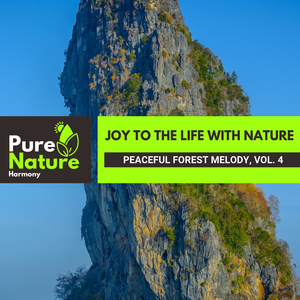 Intricate Bird Songs