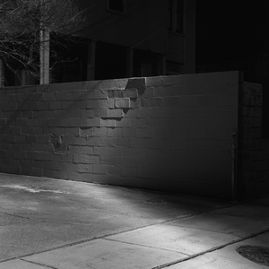 T.M.I. (False Lover Blues)