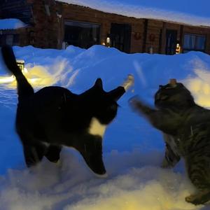 2025年最后一首情歌