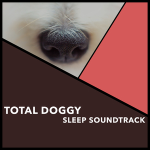 Well-Being Weimaraner