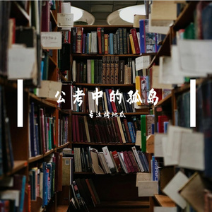 公考中的孤岛