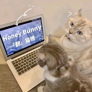 Honey Bunny ˗ˋˏ♡ˎˊ˗