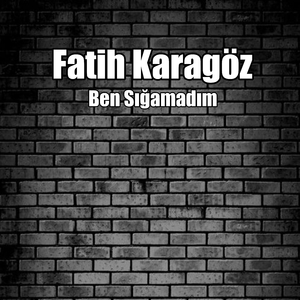 Herkes Sığdı Bir Ben Sığamadım