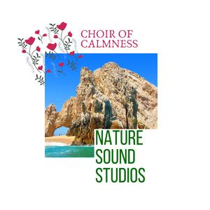 Colorful Woodland Journey