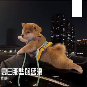 欢乐曙光的黎明曲