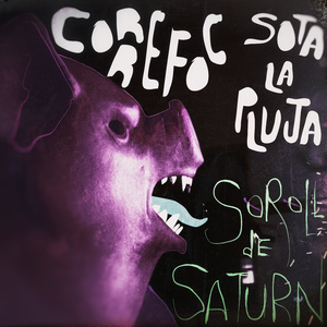 CORREFOC sota la pluja