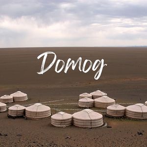 Domog