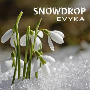 Snowdrop