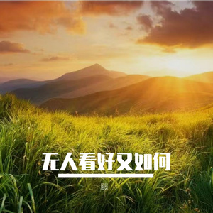 无人看好又如何