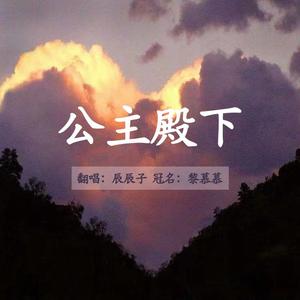 公主殿下