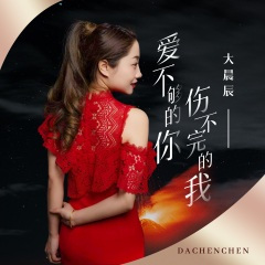 爱不够的你伤不完的我 (DJ翊轩版)