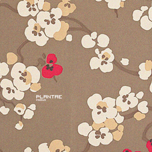 White Potion (Katzer & Meffert Remix)