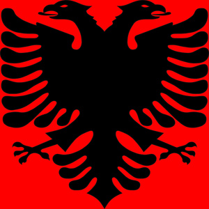 N'dale turrin shkja i zi