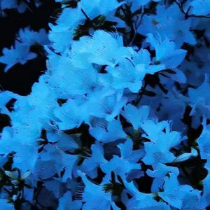 过去未来（Prod.Gr33nart Beats）