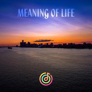 Meaning of Life