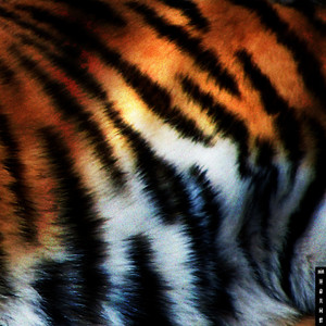 运命共同体 (feat. HUR)