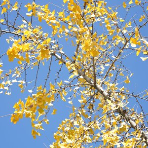 就让孤独伴随夜 I.wav