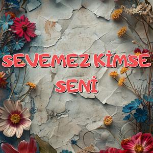 Sevemez Kimse Seni