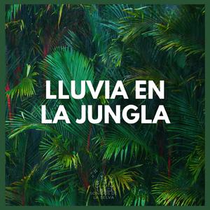 Lluvia en la Jungla (P89)