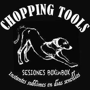 Lágrimas de San Lorenzo