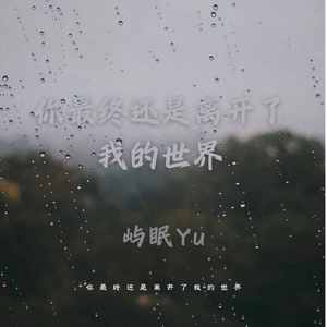 你最终还是离开了我的世界