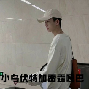 小鸟伏特加雷霆嘎巴