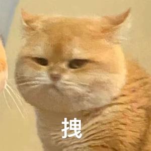 雨夏—致高考前夕的自己