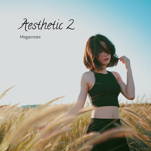 Aesthetic 2