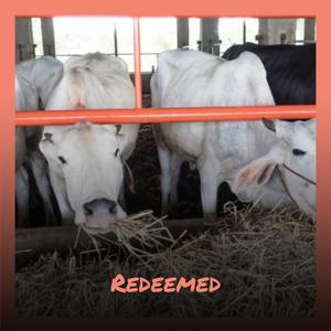 Redeemed