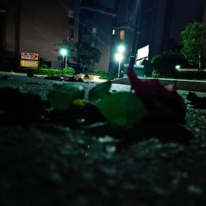 Ringcalled（prod.HG追风）