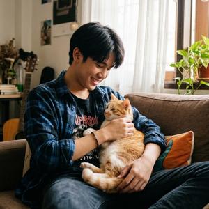 แมวหลงกับคนเหงา