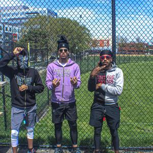 Grapevine