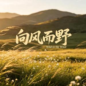 向风而野 (周小六 Remix)