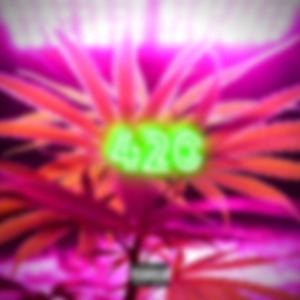 Riding (feat. Rude6oi, DeeDME, Motive & Big Norm)